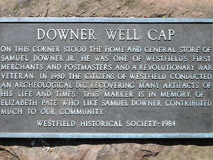 Downer Well Cap