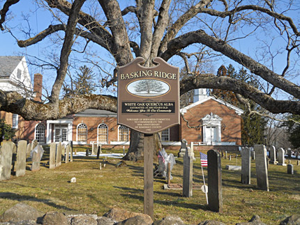 Basking Ridge, New Jersey