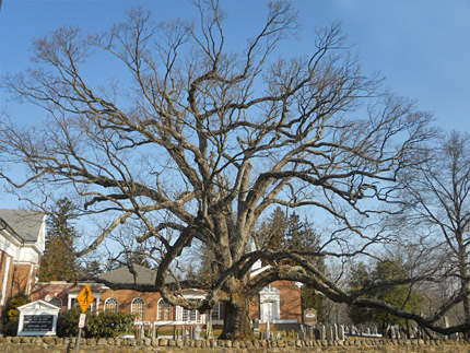 The Revolutionary War - Basking Ridge NJ