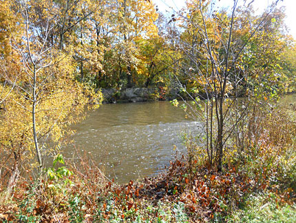 Shepard Kollock Park