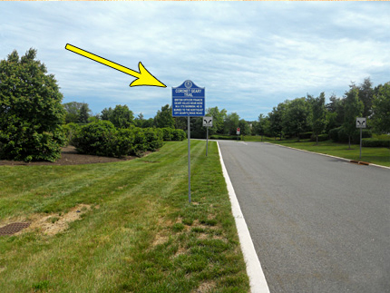 Coronet Francis Geary Memorial