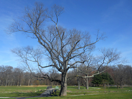 Hawthorne in the Revolutionary War