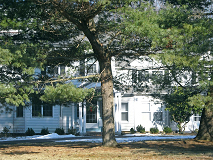 Sentinel Elms
