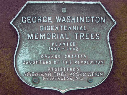 George Washington Bicentennial Trees