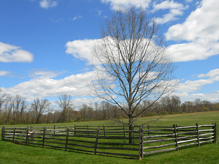 Princeton Battlefield Park